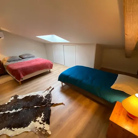 Charose Maison Dans Le Marais Poitevin